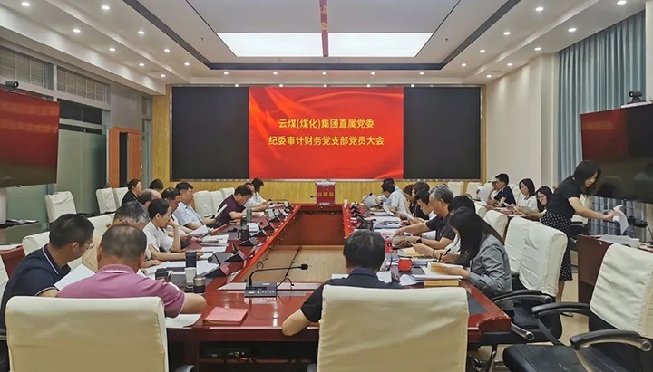 云煤（鸿运国际）集团直属党委纪委审计财务党支部完成换届选举事情