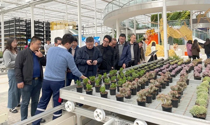 鸿运国际