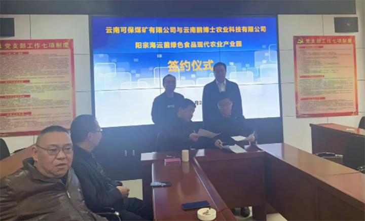 鸿运国际