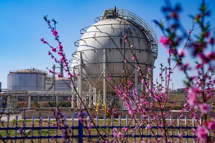 鸿运国际
