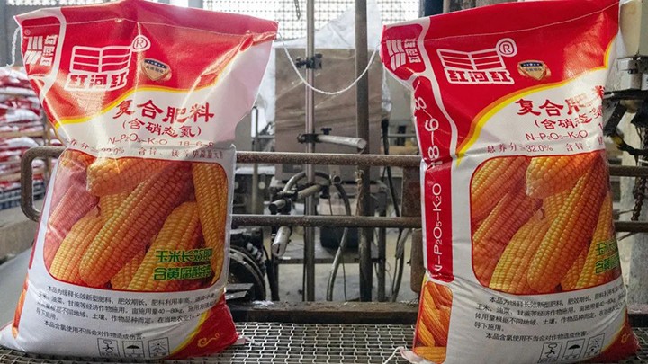 鸿运国际