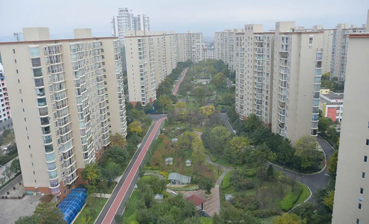 鸿运国际