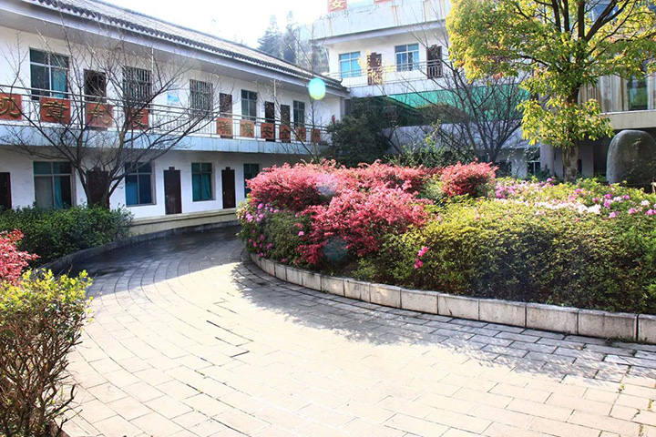 鸿运国际