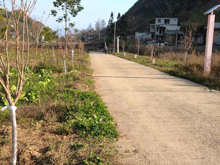 鸿运国际