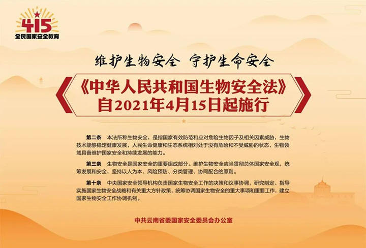 鸿运国际