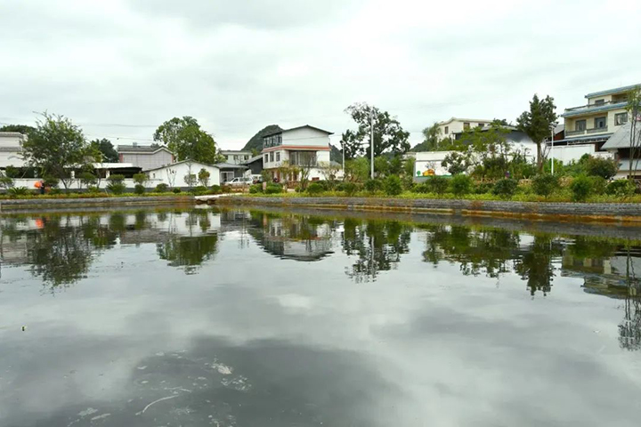 鸿运国际
