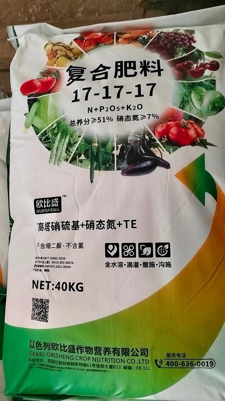 鸿运国际